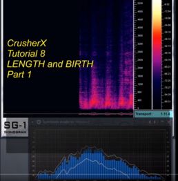 CrusherX Length and Birth