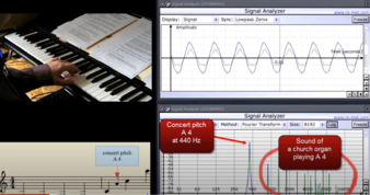 genetics of sound