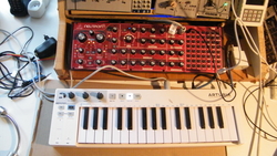 semi modular synthesizers vs Eurorack