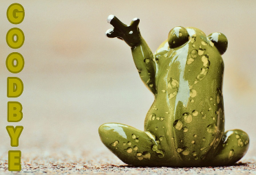 frog
