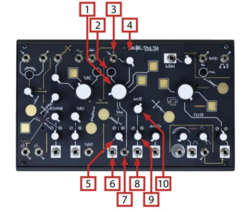 Make Noise Strega filter