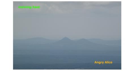 "Morning Haze" - Angry Alice